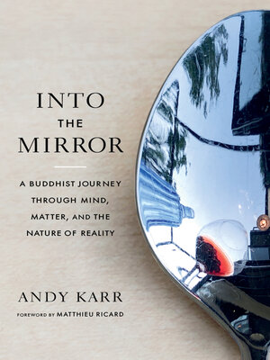 cover image of Into the Mirror
